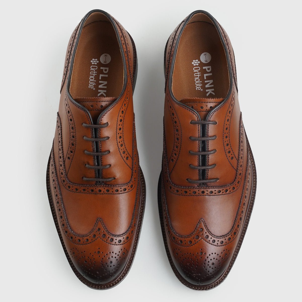 Wingtip Oxfords Tan 9464 - PLNK Shoes